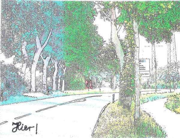 JHV 2010 und weiteres