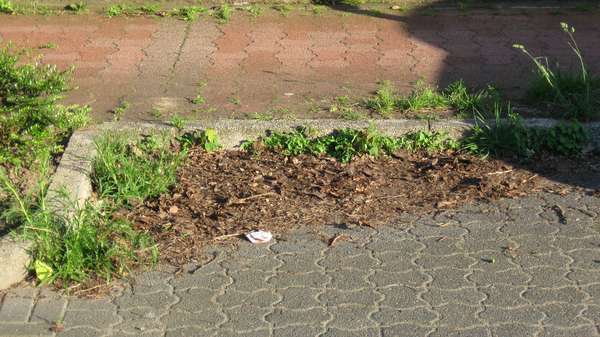 Unser Dorf soll schöner werden