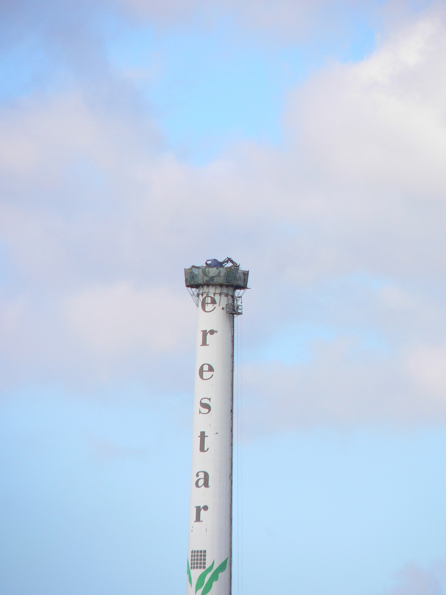 25.06.2020: CARGILL - Umstellung von Mais auf Weizen