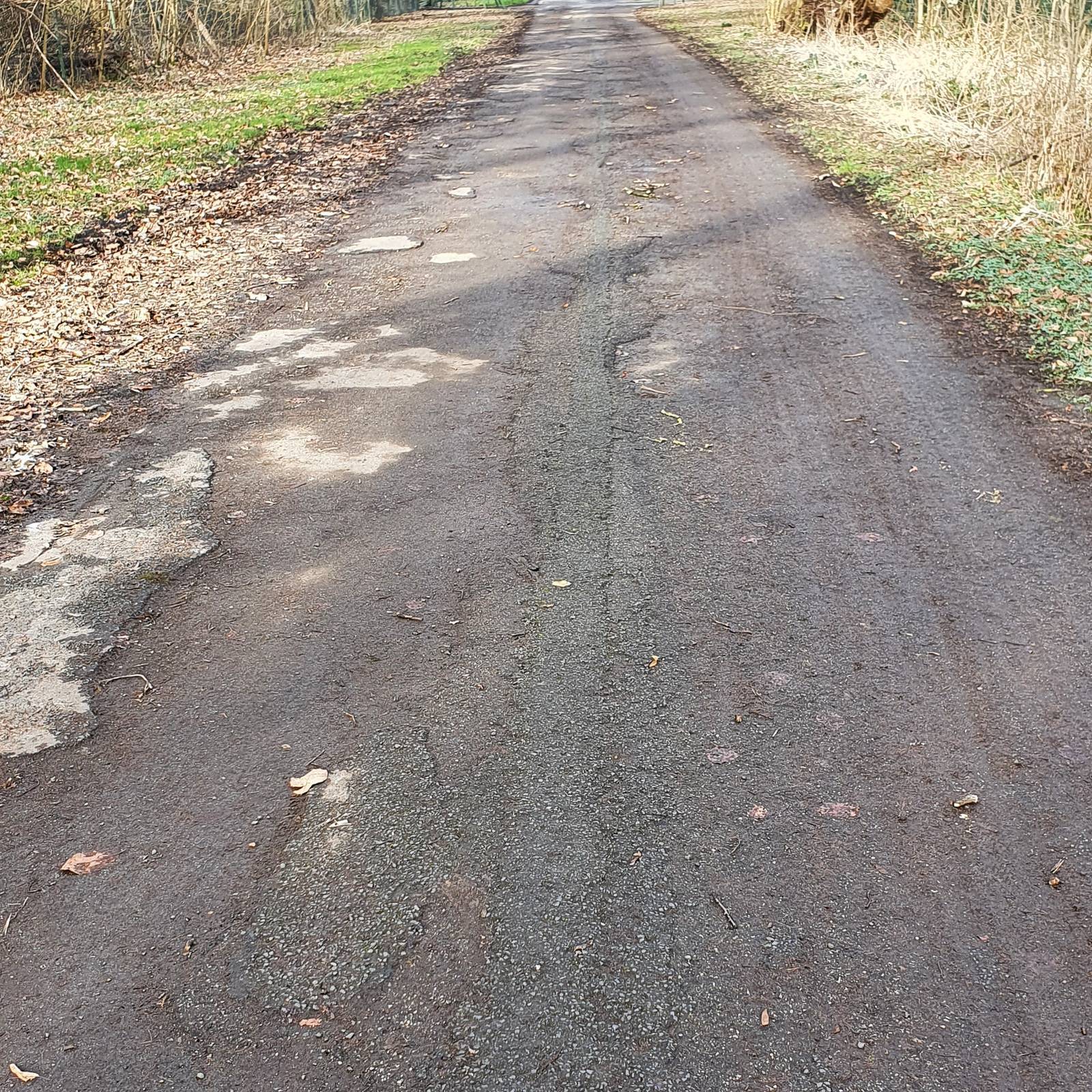 Wir haben den OB angeschrieben