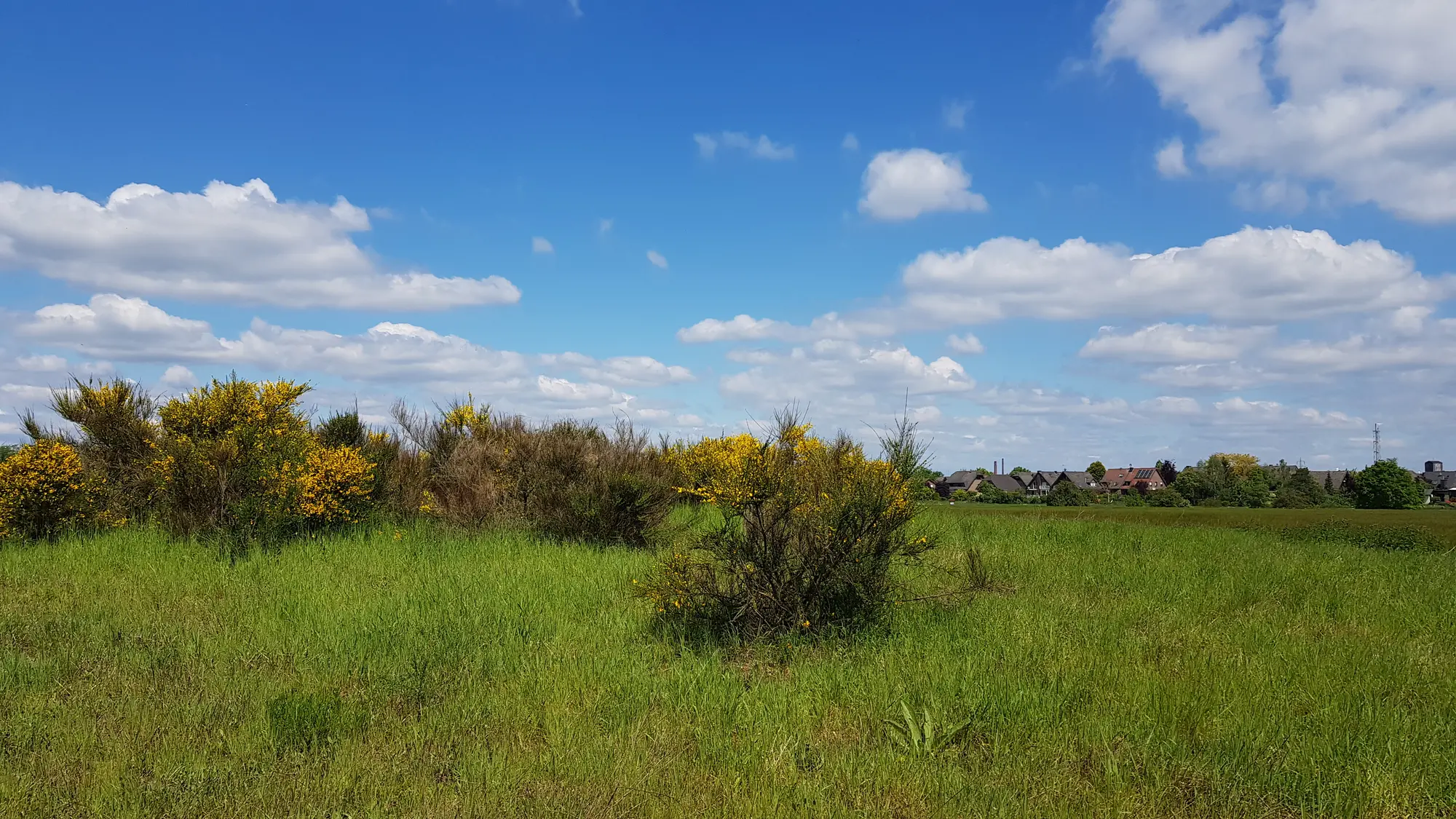 Slider - Wiese am Ortsrand - Natur pur!