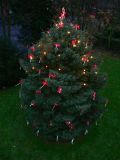 22.11.2008: Baum schmücken