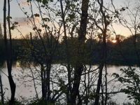 Juni 2021: In und um Gellep-Stratum